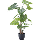 フェイクグリーン　クワズイモ　GRN-16