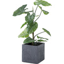 フェイクグリーン　クワズイモ　GRN-16