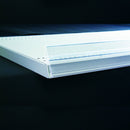 プライスカード（値札）用　POPレール WPタイプ WP75　中量棚・重量棚兼用　10本入