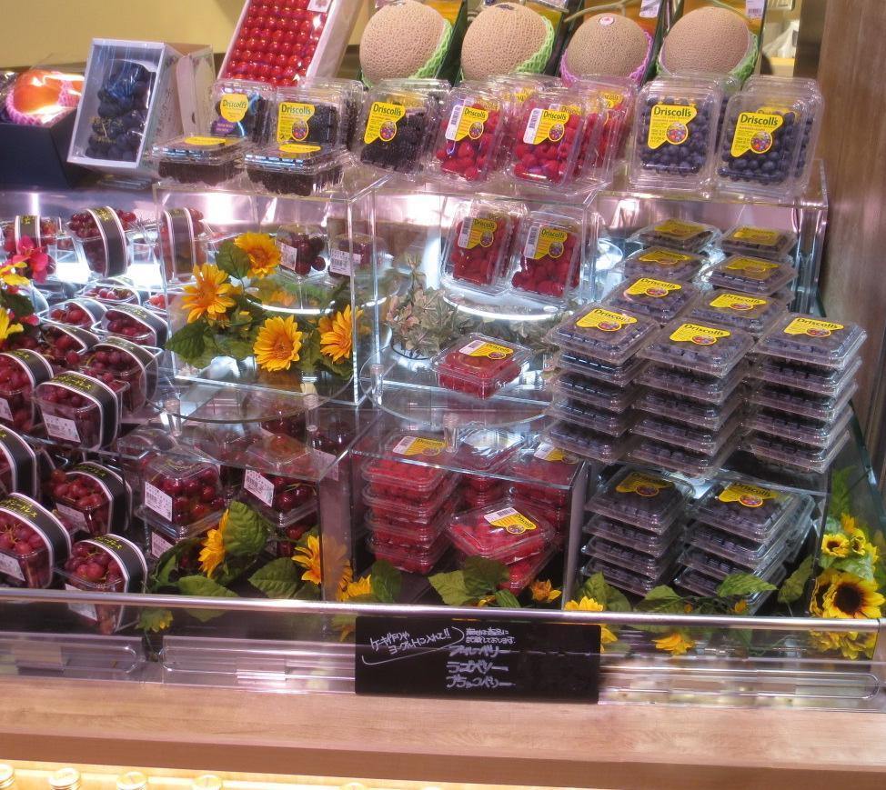 アクリルボックス コの字ボックス3面体｜店舗備品・店舗什器