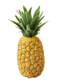 DIFV71027 330㎜ フレッシュパイナップル