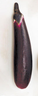 DIFV7281 210㎜ ナス