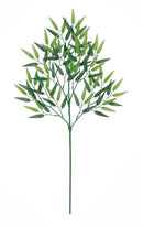 LESP7623 タケスプレイ