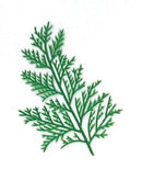 ヒバ （PE） 423-1050