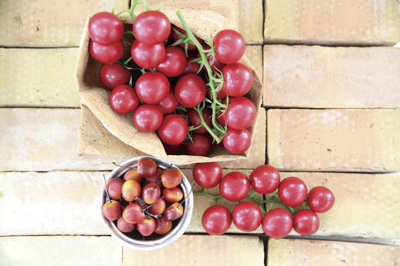 コルクバスケット　GN1/3