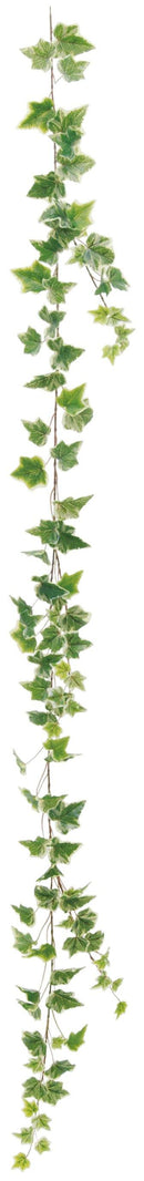 オランダアイビーガーランド VDG-5154