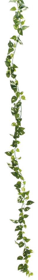 オランダアイビーガーランド VG-3223