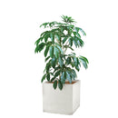 ラヴィーレ プランターWSキューブ45型