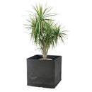 ラヴィーレ ポットカバー キューブ