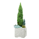 タウンプランターWS角45型